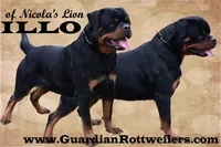 processed/adee82ba-530c-4119-bea6-904d02867eee/listing/19adcb12-399e-48a1-b1ef-b05a2a7ff477/c4642a6d-593e-4bfb-b5b9-04dbc5d485fa