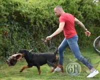 processed/adee82ba-530c-4119-bea6-904d02867eee/listing/19adcb12-399e-48a1-b1ef-b05a2a7ff477/c79fa479-0399-4ea6-ab60-ea143cba42ef