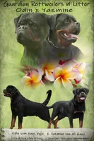 processed/adee82ba-530c-4119-bea6-904d02867eee/listing/544b1fab-e348-44cc-a166-25a90d288e98/2a05a33a-ef45-4064-a67e-3a7f60e7cc50