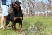 processed/adee82ba-530c-4119-bea6-904d02867eee/listing/544b1fab-e348-44cc-a166-25a90d288e98/b03e672d-9207-4fe9-a38a-8242d7cbf96a