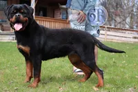 processed/adee82ba-530c-4119-bea6-904d02867eee/listing/544b1fab-e348-44cc-a166-25a90d288e98/b056538c-e310-432e-b124-ee2ba16762cc