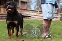 processed/adee82ba-530c-4119-bea6-904d02867eee/listing/544b1fab-e348-44cc-a166-25a90d288e98/e20100b4-b136-4649-bfaf-2402a1187a4e