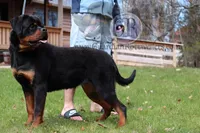 processed/adee82ba-530c-4119-bea6-904d02867eee/listing/544b1fab-e348-44cc-a166-25a90d288e98/f4893cab-1616-4c3f-bd78-a691931dd2a0