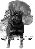 processed/adee82ba-530c-4119-bea6-904d02867eee/listing/94093bf5-96fa-4538-b736-0a125631772e/07f1466e-370d-4791-921d-f10b1cc9620c