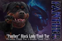 processed/adee82ba-530c-4119-bea6-904d02867eee/listing/94093bf5-96fa-4538-b736-0a125631772e/0d274d3c-eba1-48dd-867d-1f1e50359cc2