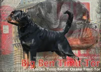 processed/adee82ba-530c-4119-bea6-904d02867eee/listing/94093bf5-96fa-4538-b736-0a125631772e/41889ae9-688c-42f0-b840-e92f136ba4ed