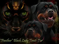 processed/adee82ba-530c-4119-bea6-904d02867eee/listing/94093bf5-96fa-4538-b736-0a125631772e/d88db5c7-a6f6-412b-b080-e5276a4f99a3