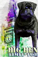 processed/adee82ba-530c-4119-bea6-904d02867eee/listing/94093bf5-96fa-4538-b736-0a125631772e/fb5b6c5d-d2a3-424d-aa8a-787fb1f0d65d