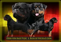 processed/adee82ba-530c-4119-bea6-904d02867eee/listing/af674b30-5bd2-481e-b5f7-fd62a36925ab/3463ea19-a885-4f4f-b7d6-64063624fd26