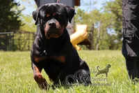 processed/adee82ba-530c-4119-bea6-904d02867eee/listing/af674b30-5bd2-481e-b5f7-fd62a36925ab/70e8efb3-c1cd-4fb1-8705-1fc574c1dd52