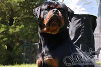 processed/adee82ba-530c-4119-bea6-904d02867eee/listing/af674b30-5bd2-481e-b5f7-fd62a36925ab/df4d2b06-a3b5-44cf-8718-6a9fdb3bd22d