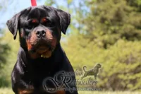 processed/adee82ba-530c-4119-bea6-904d02867eee/listing/af674b30-5bd2-481e-b5f7-fd62a36925ab/f2719cd2-da05-47ae-927e-7b6c1a4c57d9