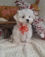 processed/adf99b01-e7a3-407e-8699-c19373df7cc7/listing/26bd820f-da88-46d0-81eb-daff68c1cc62/2f80ff39-89a1-4e62-92e3-69af495db5d8