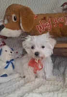 processed/adf99b01-e7a3-407e-8699-c19373df7cc7/listing/26bd820f-da88-46d0-81eb-daff68c1cc62/566d021c-93ac-46eb-b418-e2c348773e9b