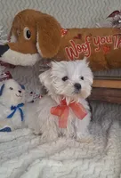 processed/adf99b01-e7a3-407e-8699-c19373df7cc7/listing/26bd820f-da88-46d0-81eb-daff68c1cc62/f6da1ba4-50dc-495f-9c0e-bc61a313f3ff