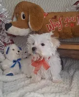 processed/adf99b01-e7a3-407e-8699-c19373df7cc7/listing/26bd820f-da88-46d0-81eb-daff68c1cc62/f7140f45-3f7b-466e-9974-9915862b81cb