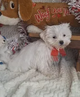 processed/adf99b01-e7a3-407e-8699-c19373df7cc7/listing/26bd820f-da88-46d0-81eb-daff68c1cc62/fe11cea4-4108-42cc-93ca-88e8bf6c40ec