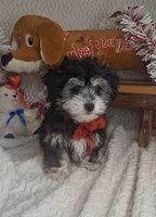 processed/adf99b01-e7a3-407e-8699-c19373df7cc7/listing/727c1893-0299-4213-bff5-5256e04b51da/541aaf14-44f4-44d2-ab71-23ed2e385527