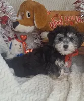 processed/adf99b01-e7a3-407e-8699-c19373df7cc7/listing/727c1893-0299-4213-bff5-5256e04b51da/9f355470-044c-49ca-ab8a-3fed979adfdc