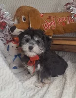 processed/adf99b01-e7a3-407e-8699-c19373df7cc7/listing/727c1893-0299-4213-bff5-5256e04b51da/ed74a834-f7a4-4d6a-b398-7cc7cd38cb41