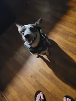 processed/ae01264f-eb4d-42d9-bc2b-580bc4964c0c/listing/35877cdb-2fe1-47b6-bd54-18da747677d6/74ca1b6b-ac7e-43e6-9448-30aedb4d4787