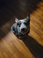 processed/ae01264f-eb4d-42d9-bc2b-580bc4964c0c/listing/35877cdb-2fe1-47b6-bd54-18da747677d6/75e95b62-1fae-42b7-ab27-65c5933daee2