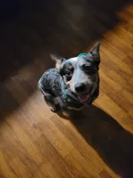 processed/ae01264f-eb4d-42d9-bc2b-580bc4964c0c/listing/35877cdb-2fe1-47b6-bd54-18da747677d6/bf6cda1c-dcfd-4da9-97c1-68f7878ee19f