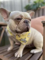 processed/ae0b9eda-b86c-44f5-8068-239fca4a7888/facility/24f52e68-c9de-4321-ba9d-d49daf3c6f6f