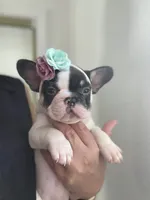 processed/ae0b9eda-b86c-44f5-8068-239fca4a7888/facility/2bf85dad-d2c1-4482-9a7c-b475c1c5f2a0