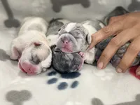 processed/ae0b9eda-b86c-44f5-8068-239fca4a7888/facility/3cc932a3-900c-4407-a00c-60257b301eec