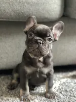 processed/ae0b9eda-b86c-44f5-8068-239fca4a7888/facility/49a7dcc3-7539-46c7-b51b-c423ec56c918