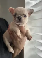 processed/ae0b9eda-b86c-44f5-8068-239fca4a7888/facility/58b59954-96e1-41db-82df-07a792834b07