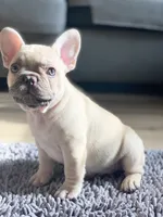 processed/ae0b9eda-b86c-44f5-8068-239fca4a7888/facility/98c083bd-84c5-4759-9d40-e0ee18b04d6b