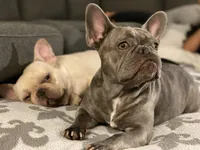 processed/ae0b9eda-b86c-44f5-8068-239fca4a7888/facility/aa4197b5-1050-4d8a-bd77-4496570f0ed2