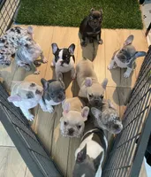 processed/ae0b9eda-b86c-44f5-8068-239fca4a7888/facility/aee9b433-0653-4249-b2b9-8a68c4f03cb6