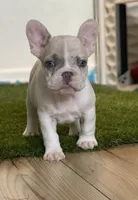 processed/ae0b9eda-b86c-44f5-8068-239fca4a7888/facility/e25246b2-6b6c-4665-bd90-25b46ddfacb0