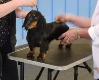 processed/ae12fb24-d178-49b9-a687-1088e3bc2a72/facility/31b24de9-44e9-40f7-8c37-bb772747dced