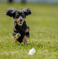 processed/ae12fb24-d178-49b9-a687-1088e3bc2a72/facility/60cc4329-4b0c-49a8-a36f-03a631fa2bd2