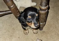 processed/ae12fb24-d178-49b9-a687-1088e3bc2a72/listing/1416006e-993b-4701-89c1-99e043364a22/2d989c05-078a-40c3-800f-0babe8a76c2d