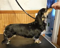 processed/ae12fb24-d178-49b9-a687-1088e3bc2a72/listing/1416006e-993b-4701-89c1-99e043364a22/3127e361-e9ca-4f34-90c2-0c47fa287291