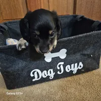 processed/ae12fb24-d178-49b9-a687-1088e3bc2a72/listing/1416006e-993b-4701-89c1-99e043364a22/373e807a-8024-413d-93a2-a3aa2f3818d5