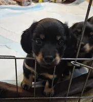 processed/ae12fb24-d178-49b9-a687-1088e3bc2a72/listing/1416006e-993b-4701-89c1-99e043364a22/4743bc8d-e023-429b-937f-71d77a765d92