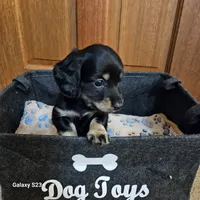 processed/ae12fb24-d178-49b9-a687-1088e3bc2a72/listing/1416006e-993b-4701-89c1-99e043364a22/4802f8ff-ed8e-4a89-857f-6d506a8c3490