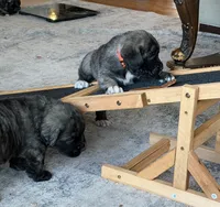 processed/ae13e971-6f9a-44f3-a714-9e8555a27c19/listing/23f73103-c80b-464d-aca9-235f2e890bbf/025156ba-fe55-4691-b400-9438d799ad2c