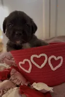 processed/ae13e971-6f9a-44f3-a714-9e8555a27c19/listing/23f73103-c80b-464d-aca9-235f2e890bbf/48b195fa-f6b0-419e-9380-47f4e2cd3d88