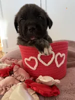 processed/ae13e971-6f9a-44f3-a714-9e8555a27c19/listing/23f73103-c80b-464d-aca9-235f2e890bbf/c5d91167-b397-47ca-b127-d8dabe58d632