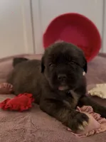 processed/ae13e971-6f9a-44f3-a714-9e8555a27c19/listing/29c33415-fc3c-4956-9e08-2d480975fb06/c96d2e94-c824-4d44-bd69-4e132a53239f