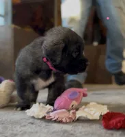 processed/ae13e971-6f9a-44f3-a714-9e8555a27c19/listing/29c33415-fc3c-4956-9e08-2d480975fb06/f3755c49-e61c-4d04-b8a9-4e756064683c