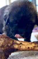 processed/ae13e971-6f9a-44f3-a714-9e8555a27c19/listing/94dcceb1-ed13-497f-b896-85a1d434f699/6ad7d0be-af10-401e-b97e-519355bc6397