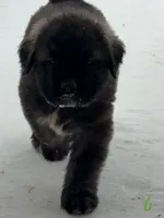 processed/ae13e971-6f9a-44f3-a714-9e8555a27c19/listing/94dcceb1-ed13-497f-b896-85a1d434f699/b5fd1afe-6cb5-4ef4-9ece-c1d269e8a36d